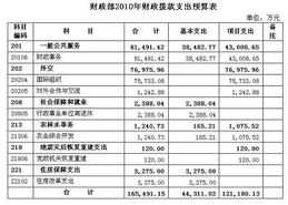 財(cái)政部公布2010年部門預(yù)算附表 財(cái)政資金項(xiàng)目預(yù)算績(jī)效評(píng)價(jià)服務(wù)的解析